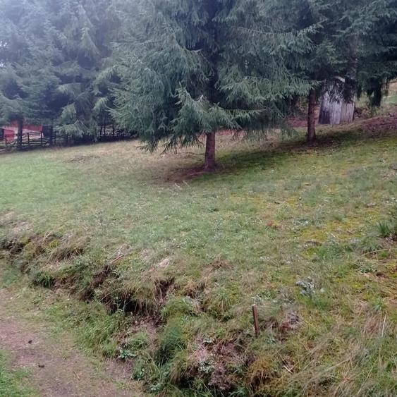 Teren în Muntele Băișorii