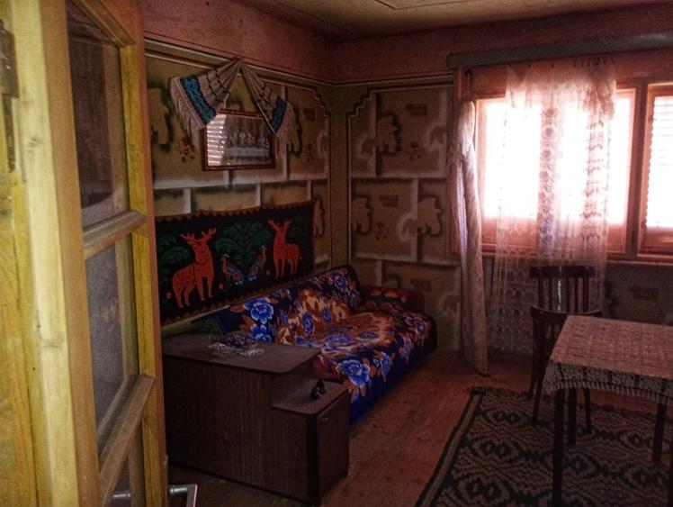 Casă cu 4 camere cu Teren 11300 Mp în Dumbrăvița