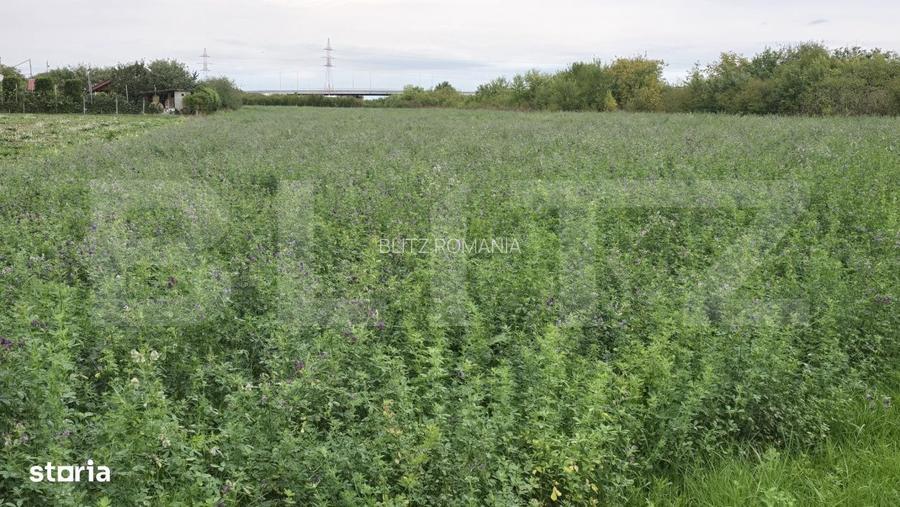 Teren extravilan, 10700 mp, zona Periferie Nord