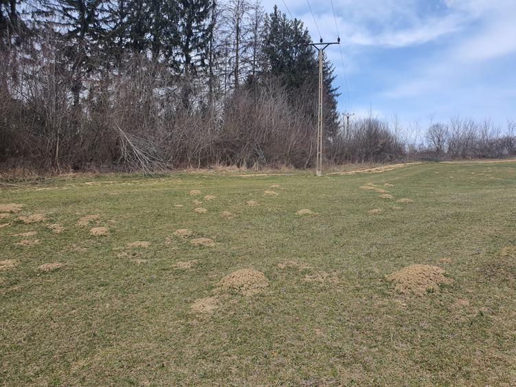 Teren agricol extravilan de 3600 mp, în Tărlungeni