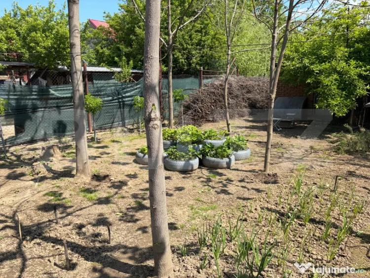Casă cu 3 camere cu Teren 900 Mp în Lascăr Catargiu