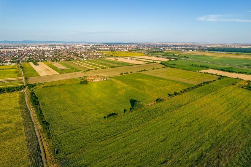 Teren agricol extravilan de 500000 mp, în Bujac