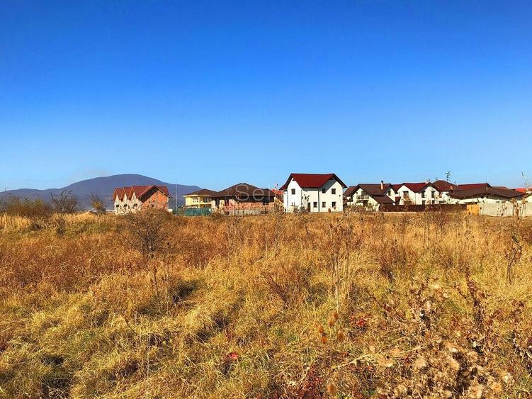 Teren Construcții intravilan de 6000 mp, în Ghimbav Livadă