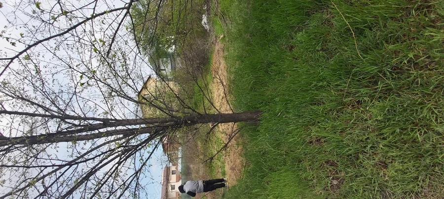 Teren de 850 mp, în Domnești
