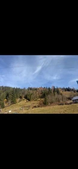 Teren Construcții intravilan de 12000 mp, în Ortoaia