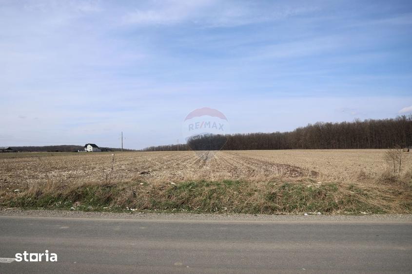 Teren de 9740 mp, în Bosanci
