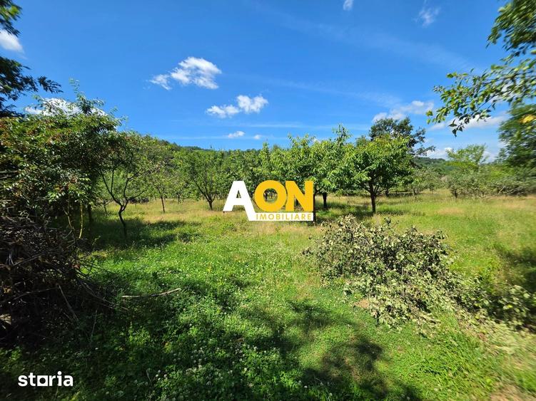 Casă cu 3 camere cu Teren 7050 Mp în Pianu
