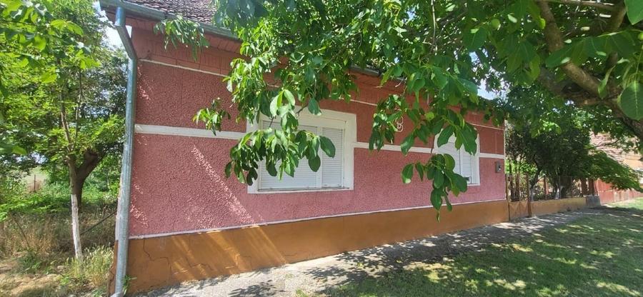 Casa cu 1500mp teren la Bobda, Jud. Timis - 1