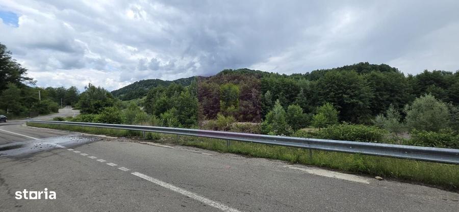 Casă cu 4 camere în Provița de Jos