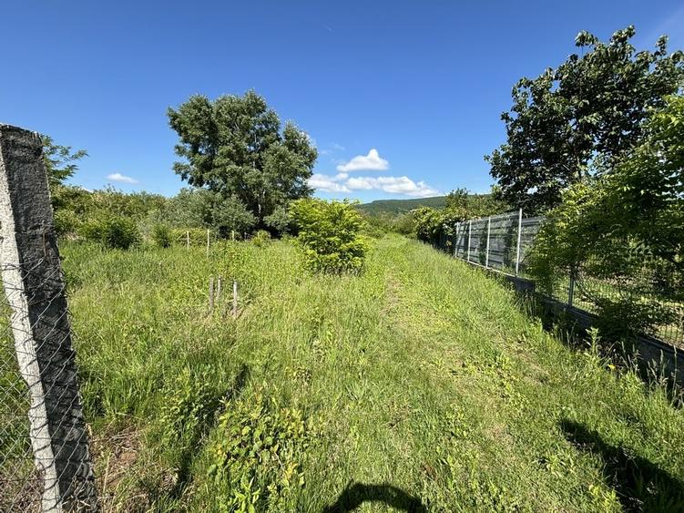 Teren Construcții intravilan de 2170 mp, în Bujoreni