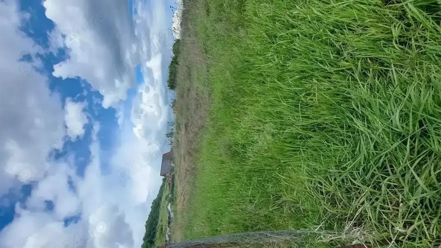 Vand teren extravilan , 637mp, Lombului, Cluj-Napoca - 3
