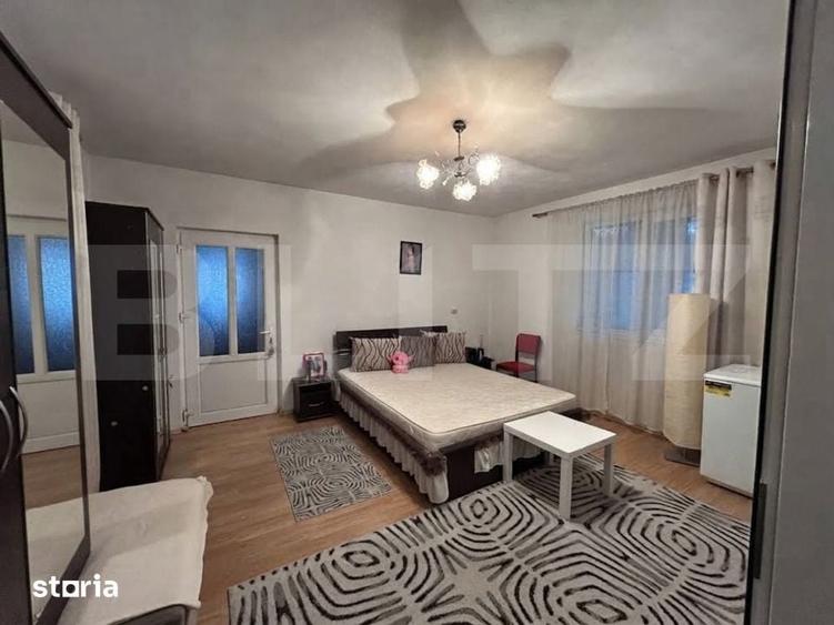 Casa de vanzare-6000mp teren - 4