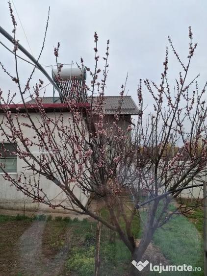 Vand casa in Serbestii Vechi, comuna Sendreni, construita in anul 2016 - 11