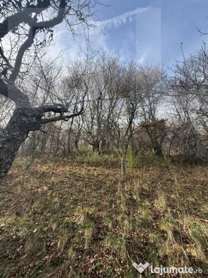 Teren de 20424 mp, în Cerbăl