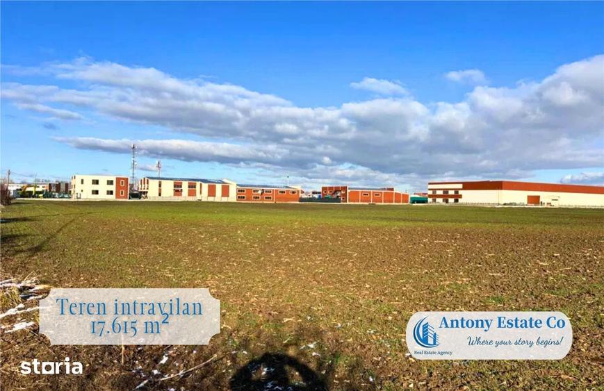 Antony Estate | Teren Intravilan de vanzare- Bors - 5