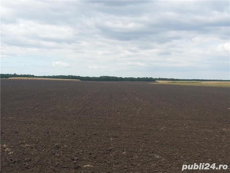 Teren de 14900 mp, în Valea Mărului