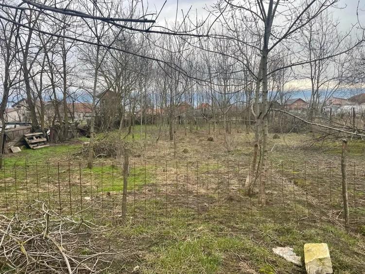 Casă cu Teren 1356 Mp în Jebel