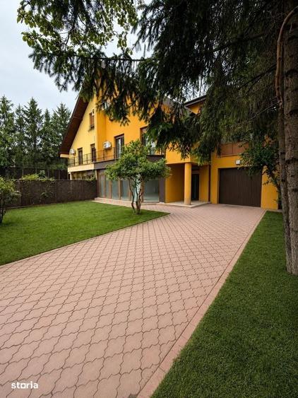 Vila Premium Complet Renovata 2026 | 320 Mp Utili | Sauna - 13