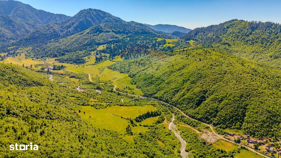 Teren de 128000 mp, în Gârcini