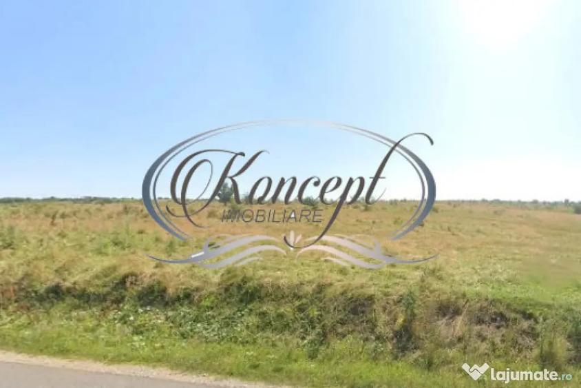 Teren de 1000 mp, în Sălicea