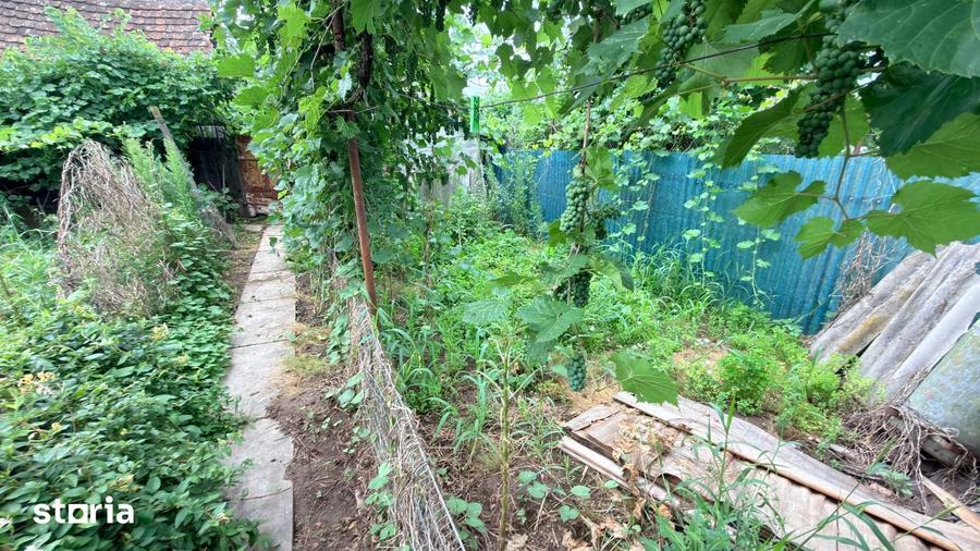 Casă cu Teren 380 Mp în Central