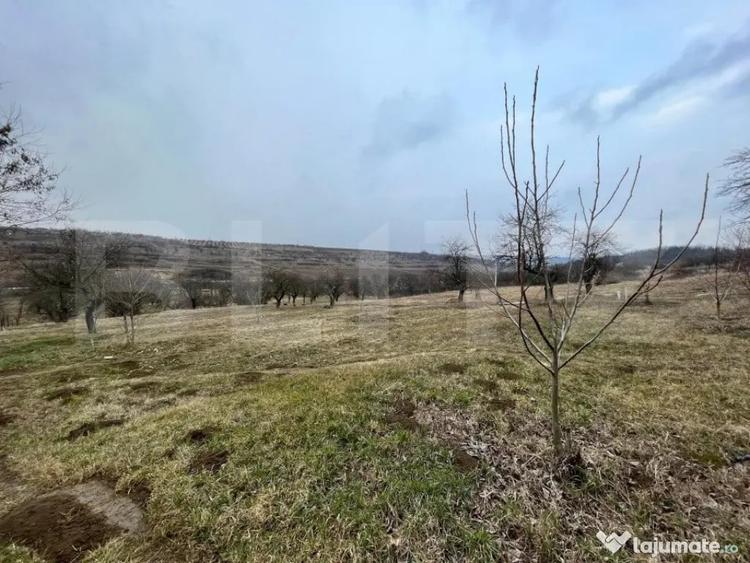 REDUCERE!!! Teren extravilan 5.613 mp, livada, zona Prede? - 3