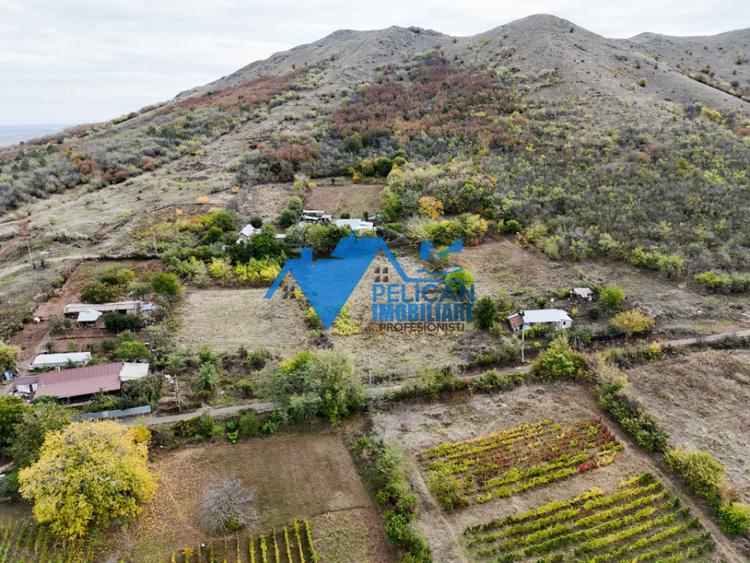 Teren intravilan NICULITEL, zona deosebita, 3044MP - 8