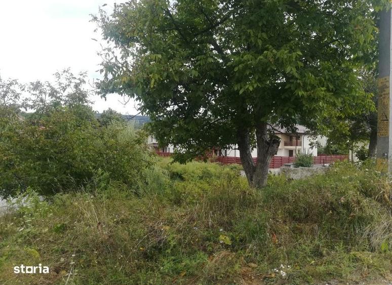 Spațiu comercial, în Bârnova