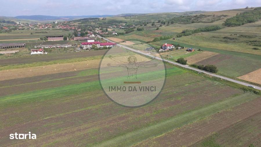 Teren de 10670 mp, în Borșa