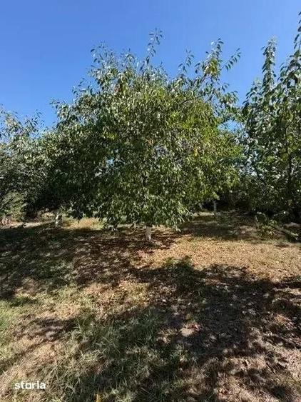 Casă cu 5 camere cu Teren 1790 Mp în Crevedia