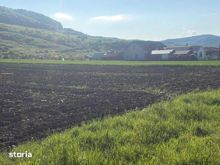 Teren de 2500 mp, în Șieu
