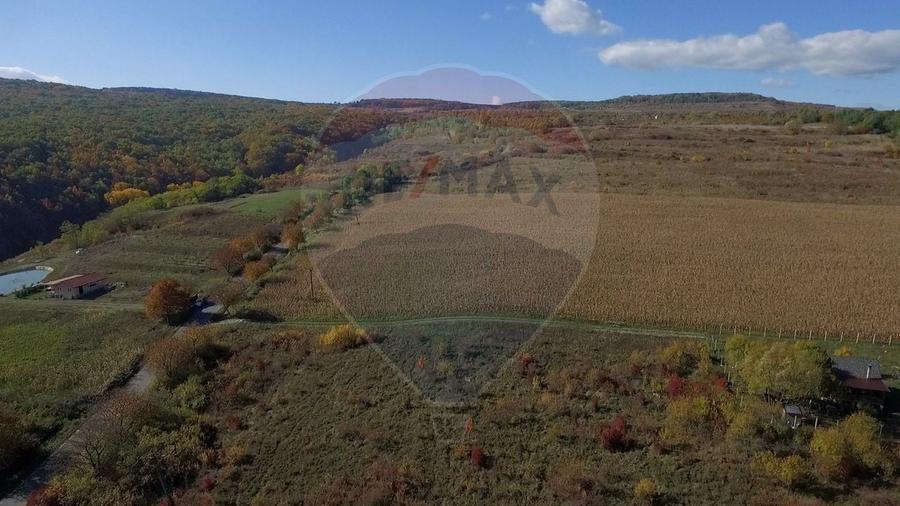 Teren agricol intravilan de 2556 mp, în Pădureni (Chinteni)