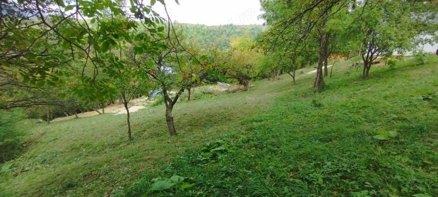 Teren intravilan la munte pentru casa , cabana , pensiune - 7