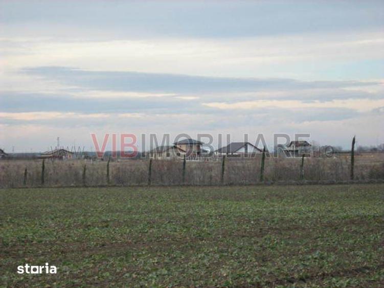 Teren de 61830 mp, în Belciugatele