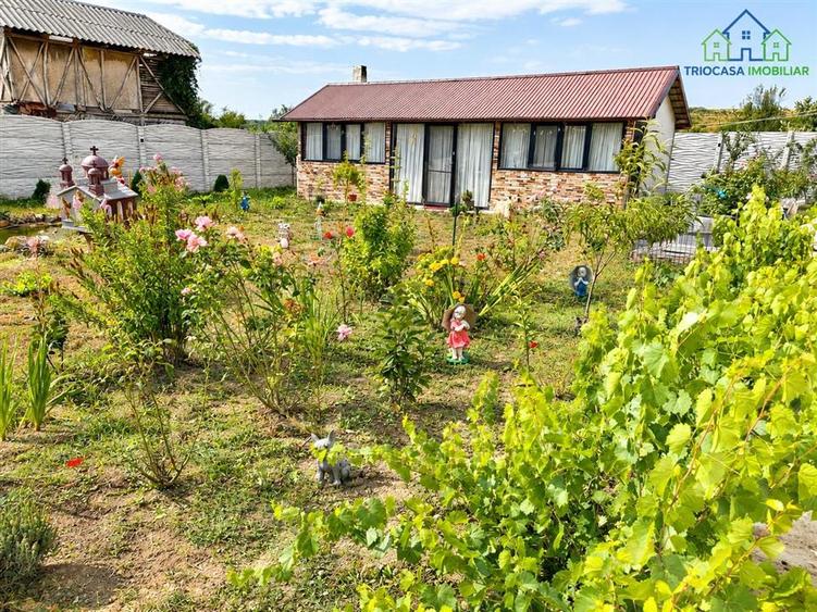 Casă cu 3 camere cu Teren 1000 Mp în Murgași