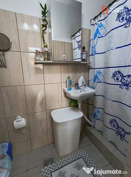 Apartament cu 2 camere nedecomandat, mobilat în Iosefin