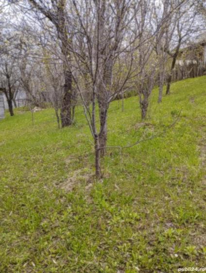 Teren de 40 mp, în Șotrile