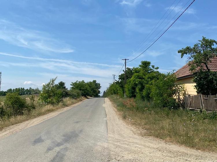 Mediesu Aurit, 1,5ha teren - 2