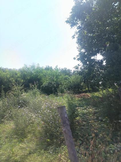 Casă cu Teren 3500 Mp în Central