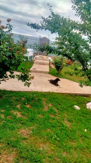 Casă cu Teren 1250 Mp în Central