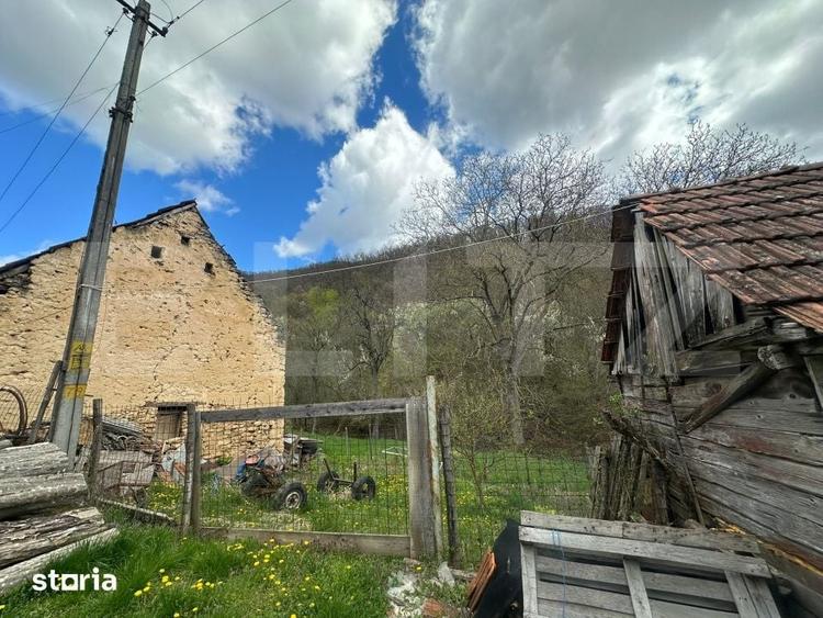 Casă cu 4 camere cu Teren 12186 Mp în Rapoltu Mare