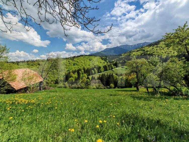 Teren Construcții intravilan de 3400 mp, în Bran