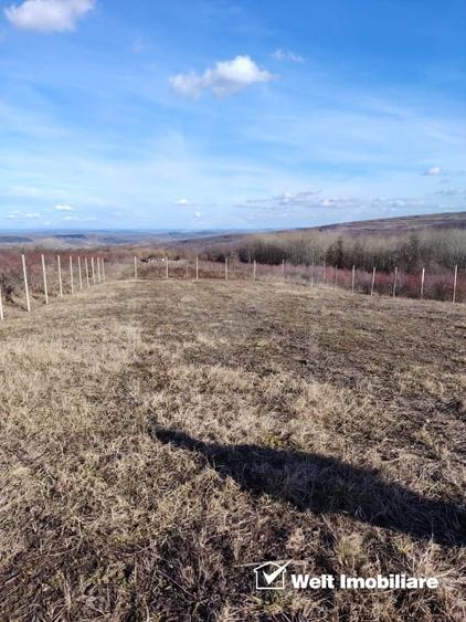 Teren Construcții intravilan de 4352 mp, în Chinteni
