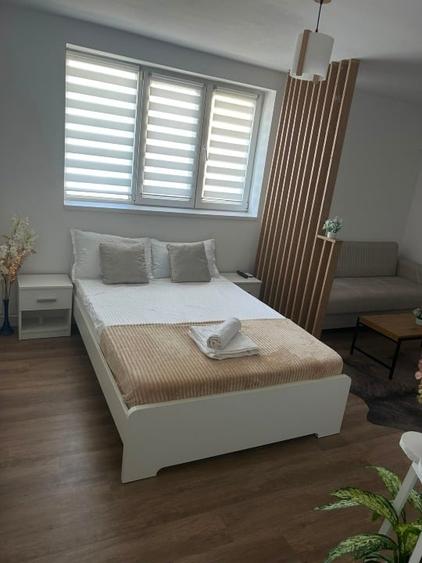 Garsoniera de vanzare complet renovata / Stefan Cel Mare / Direct propietar - 5