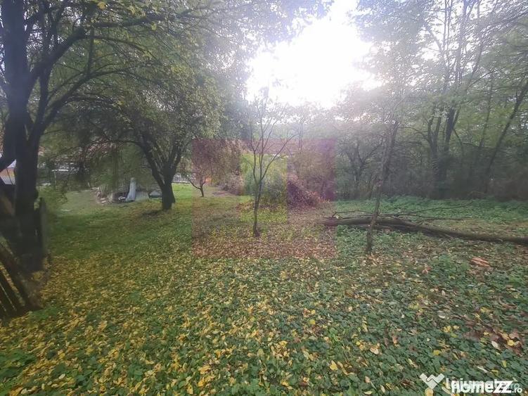Casă cu 3 camere cu Teren 3410 Mp în Aluniș