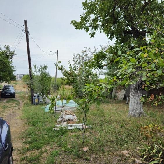 Teren Construcții intravilan de 17524 mp, în Viforâta