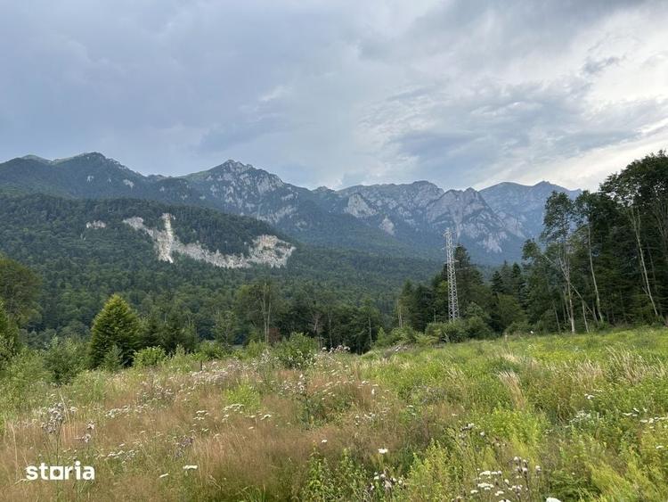 Teren de 1000 mp, în Cumpătu