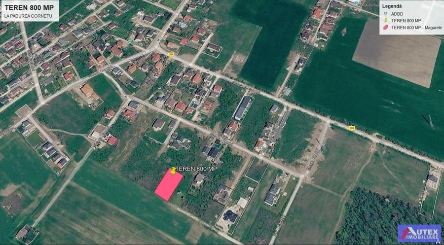 Teren Casa 800 mp in Magurele la 2 Pasi de Bucuresti - 8