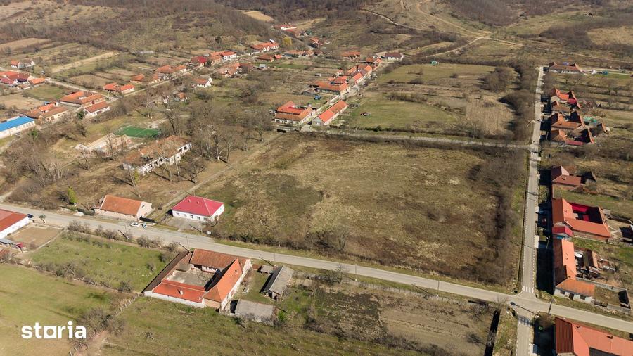 Casă cu 8 camere cu Teren 7235 Mp în Traian Vuia