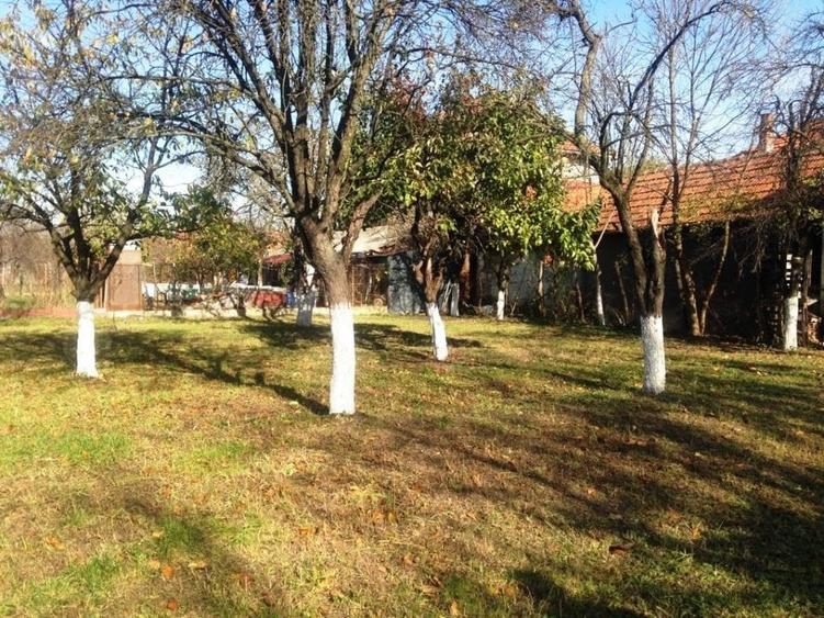 Teren Construcții intravilan de 1328 mp, în Ghirodei
